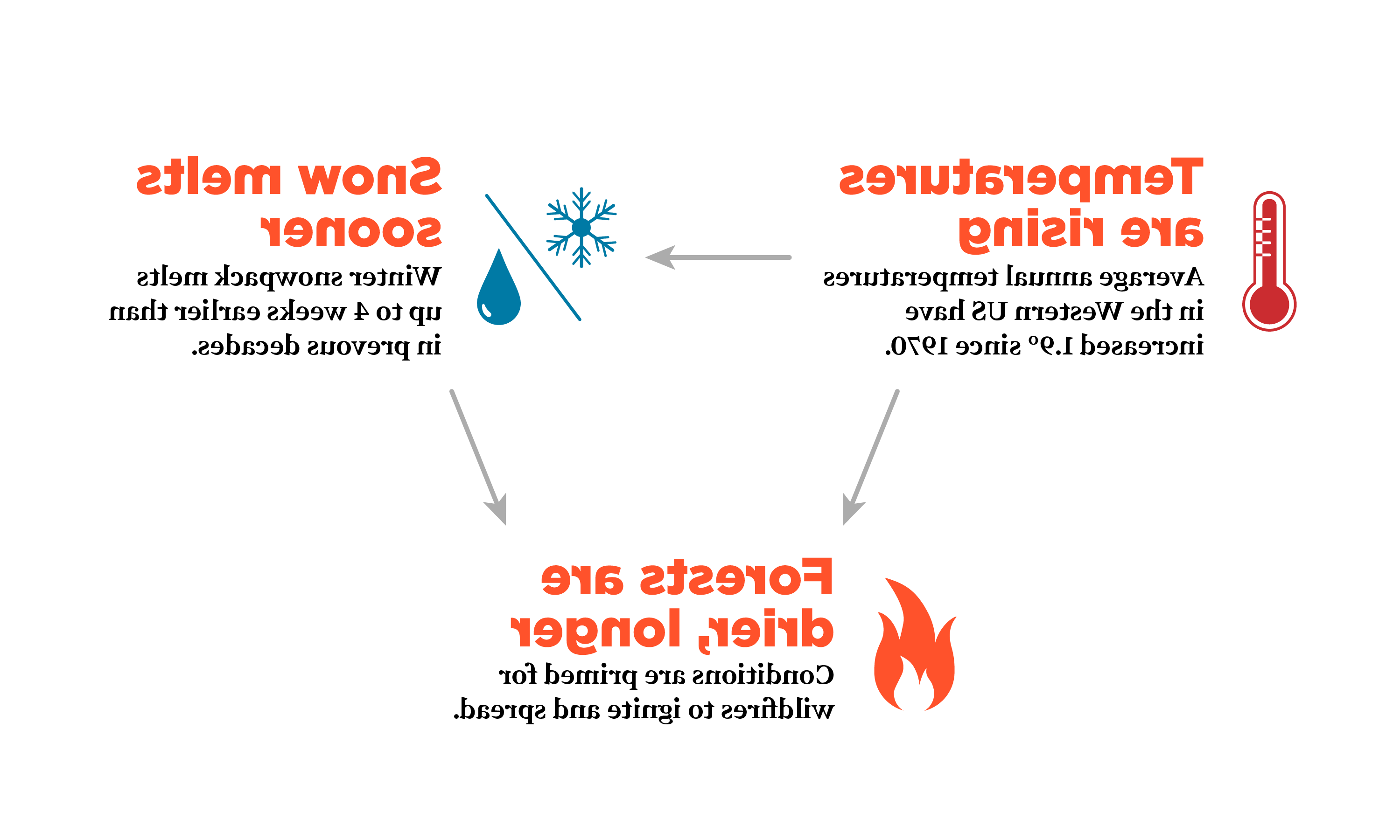 A flow chart showing how global warming relates to forest fires. As temps go up, snow melts sooner and forests stay drier, longer.